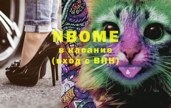шишки Аркадак