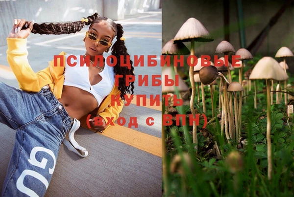 шишки Алексеевка