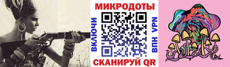 Галлюциногенные грибы Cubensis Шебекино