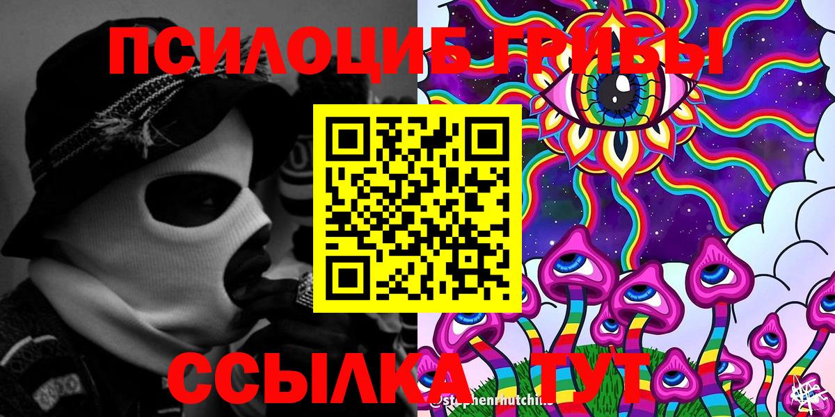 Шебекино  Псилоцибиновые грибы Psilocybe  Вход с VPN 